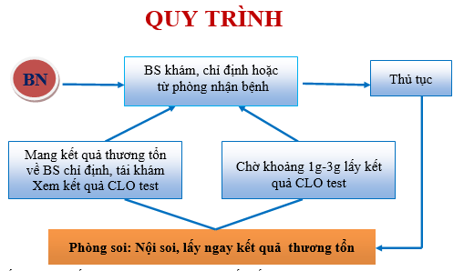 trang cá cược bóng đá