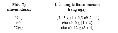 trang cá cược bóng đá