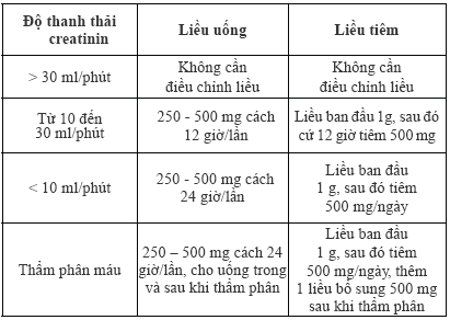 trang cá cược bóng đá